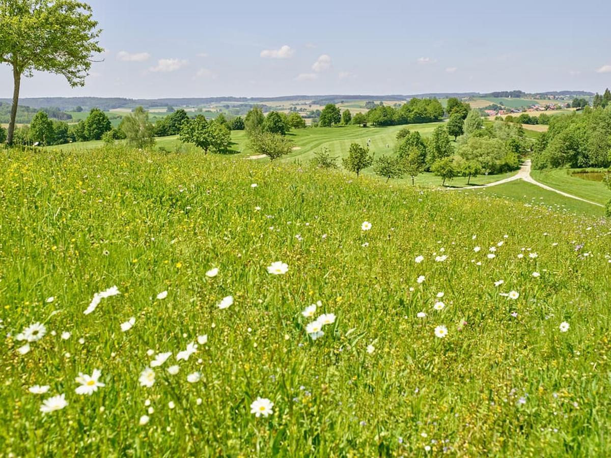 Gutshof Brunnwies Haarbach Exterior foto